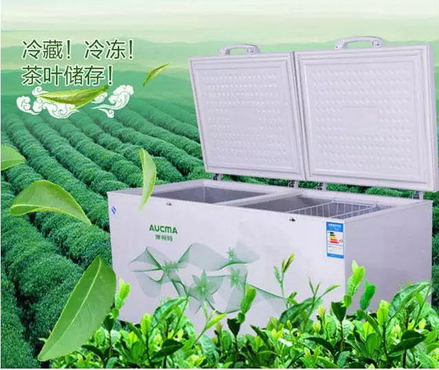 澳柯瑪茶葉柜成茶農(nóng)儲(chǔ)存春茶好幫手