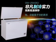 怎樣保養(yǎng)低溫冷柜？