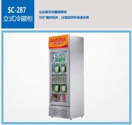 立式冷柜有哪些常見的特點呢