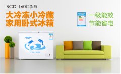 常見家用電冰柜的選擇，哪個牌子好？