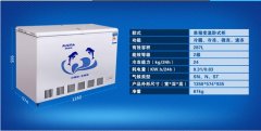 家用冰柜哪個牌子銷量好