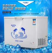 便利店冷柜的使用具有哪些優(yōu)勢(shì)