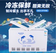 關于購買家用小冷柜的小竅門