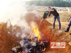 冰柜內藏大量野生動物 古田男子非法收購野生動