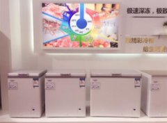 重新定義家用冷柜  澳柯瑪展出-40℃深冷冷柜