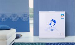 省電實用省空間，澳柯瑪家用小冷柜熱銷