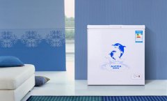 澳柯瑪家用小冷柜穩(wěn)居冷柜排行榜前列