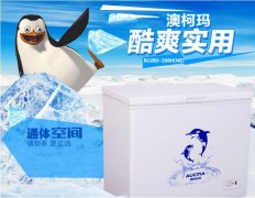 澳柯瑪履行節(jié)能環(huán)保責(zé)任降低無霜冷柜能耗