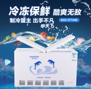 一機(jī)四用節(jié)能低耗，雙溫變溫冷柜受歡迎