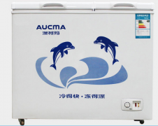 澳柯瑪電冰柜價格貴嗎？澳柯瑪電冰柜的核心競