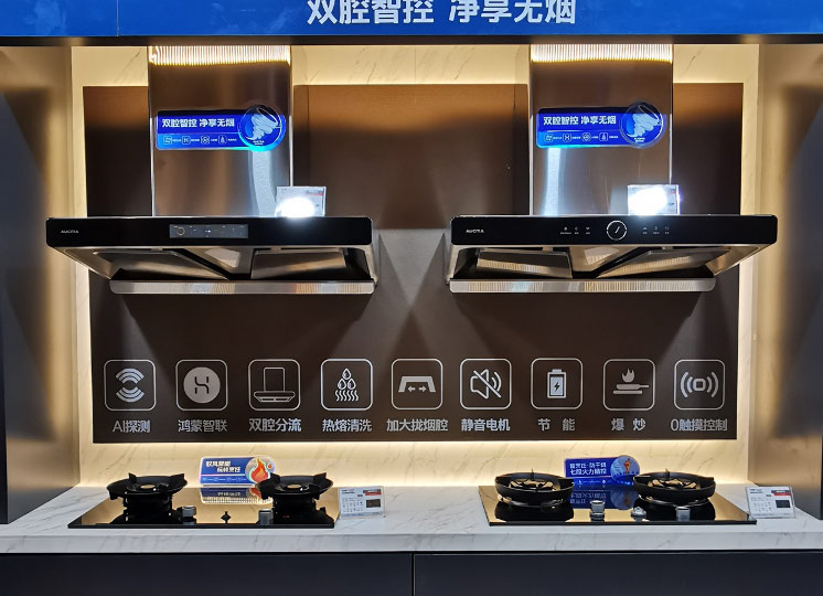 雙控油煙機(jī)